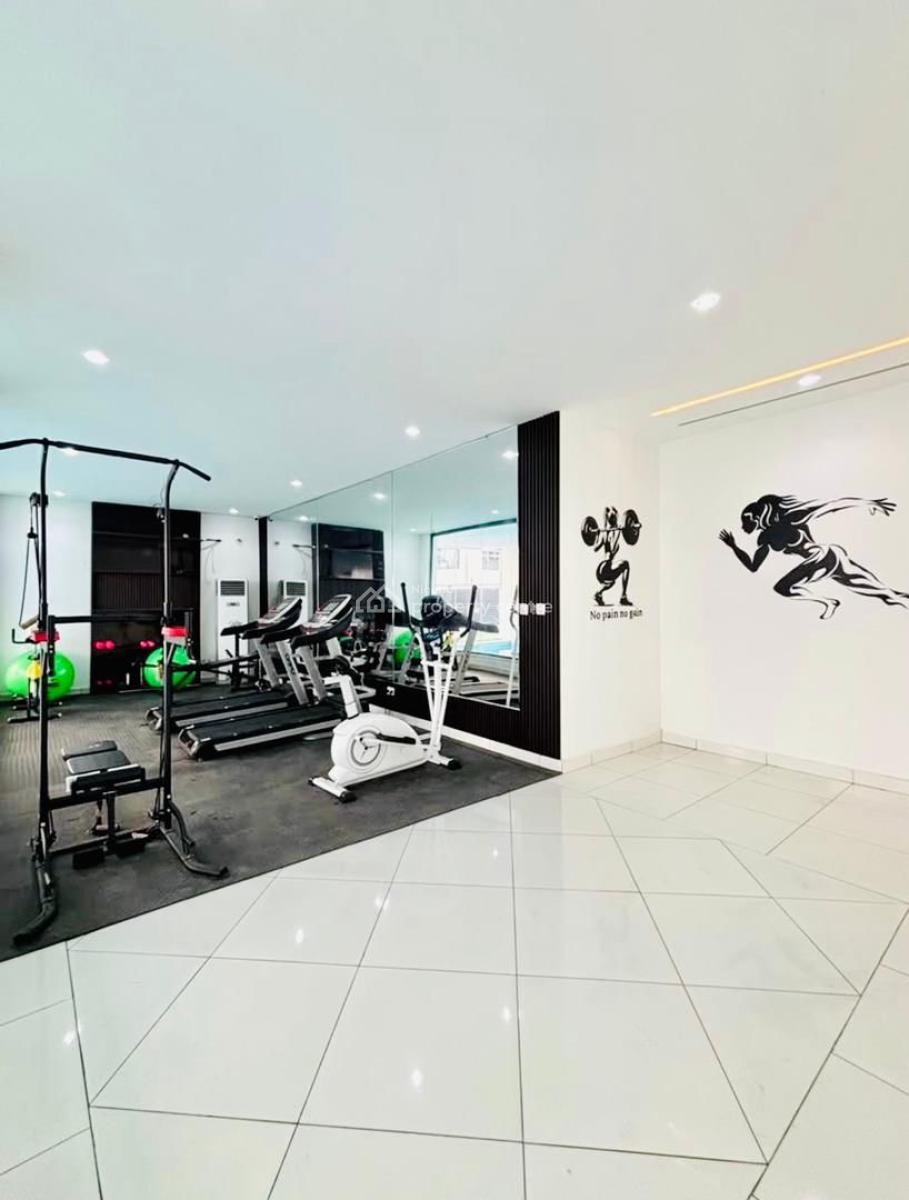 Brand New 2bedroom Apartment with Swimming Pool and Gym, Ikate, Lekki, Lagos, Flat / Apartment for Rent