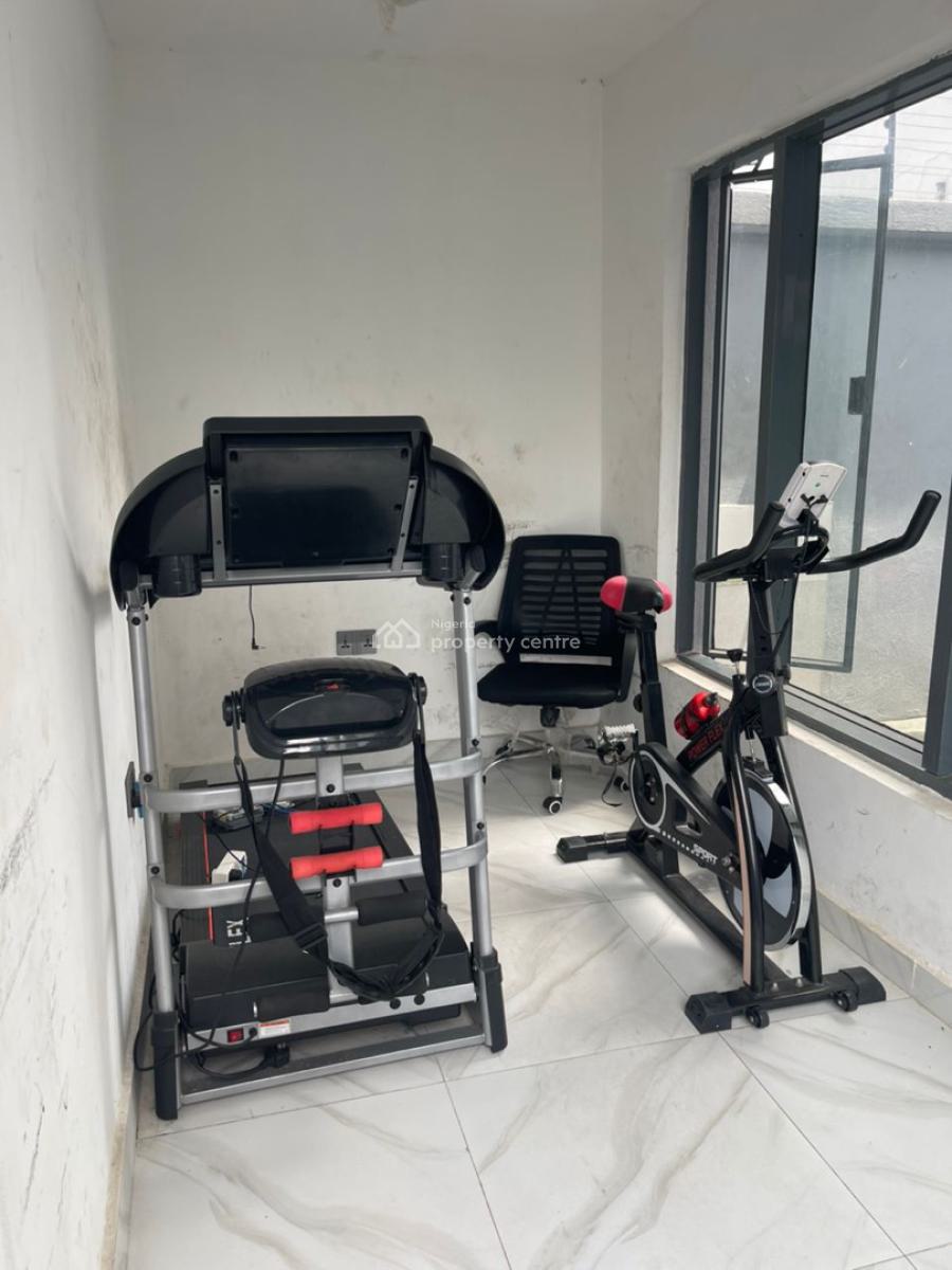 Luxury 2 Bedroom Apartment with Excellent Facility, Ikate, Lekki, Lagos, Flat / Apartment for Rent