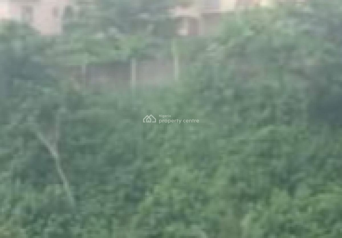 2707.205sqm Land with Detached Duplex & Block of Flats, Unity Estate, Near Gurumaraji Church, Iju-ishaga, Agege, Lagos, Residential Land for Sale