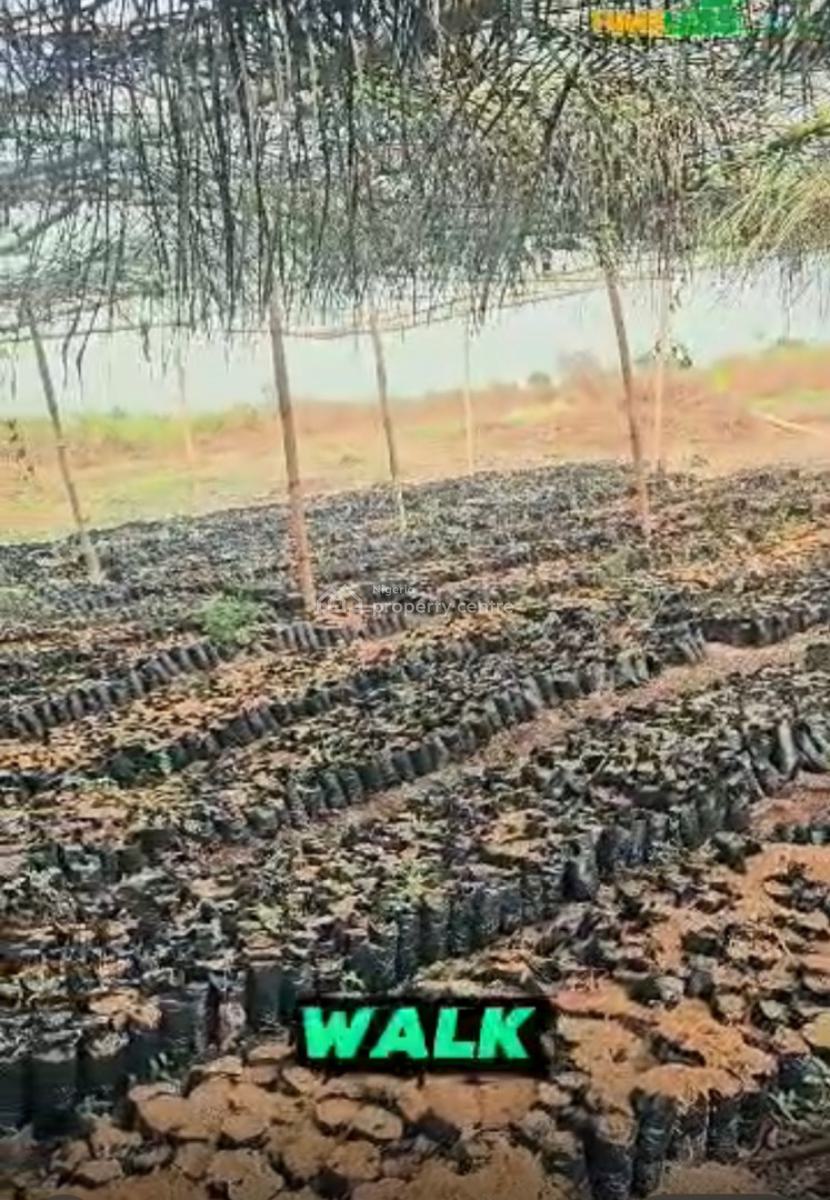 a Farm Land, Timeless Farm Estate , Off Lagos/ibadan Expressway., Obafemi Owode, Ogun, Industrial Land for Sale