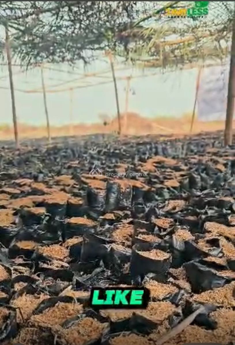 a Farm Land, Timeless Farm Estate , Off Lagos/ibadan Expressway., Obafemi Owode, Ogun, Industrial Land for Sale