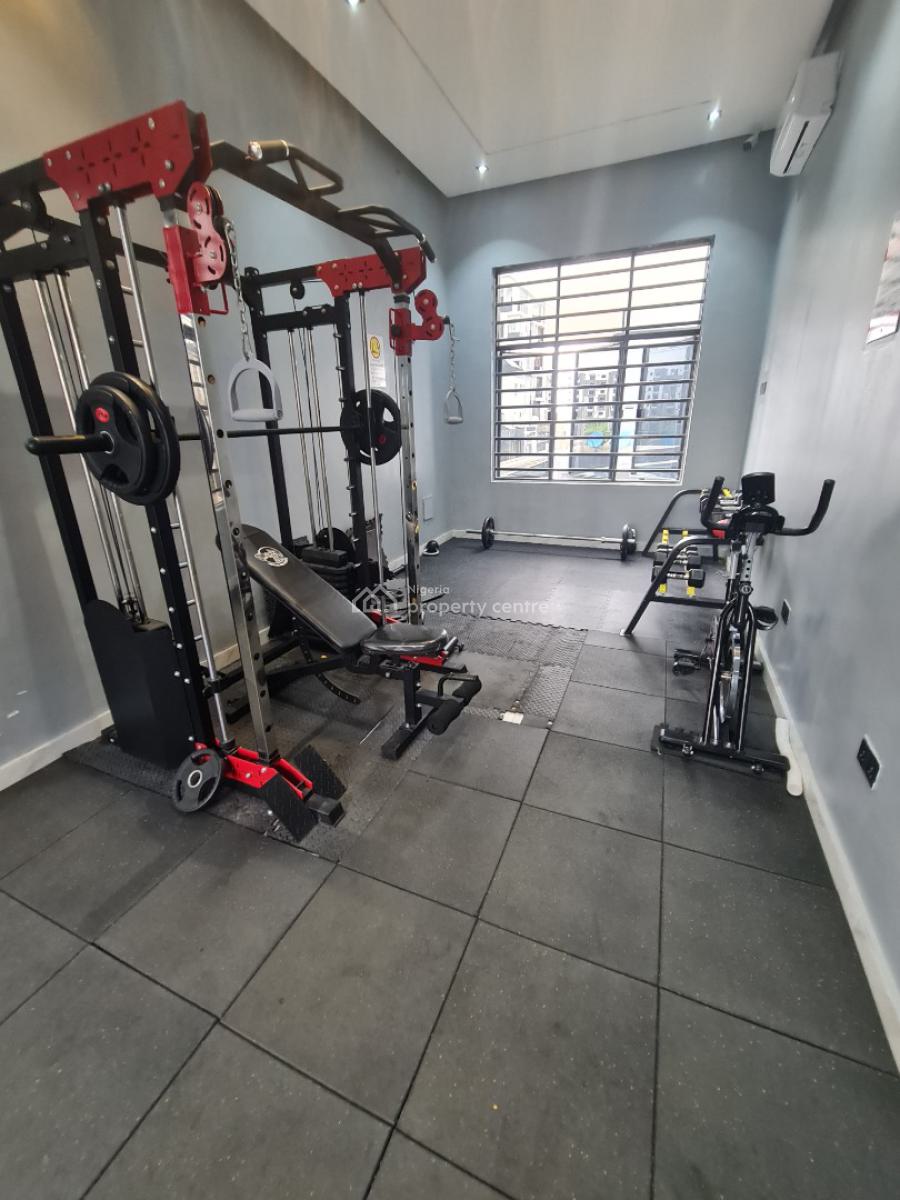 Beautiful Expatriate Standard 4 Bedroom Terrace Duplex, Ikate Elegushi, Lekki, Lagos, Terraced Duplex for Sale