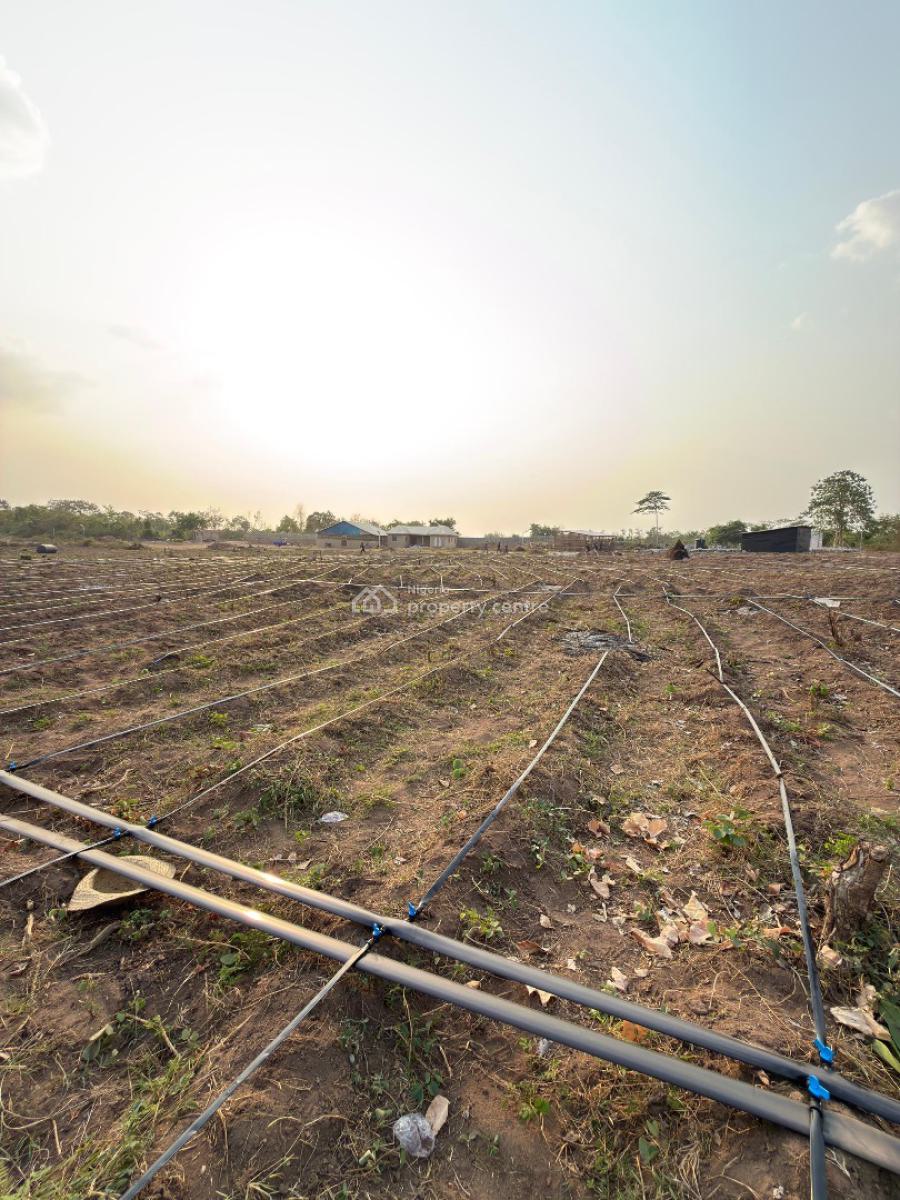 Affordable Farmland, Abeokuta North, Ogun, Land for Sale