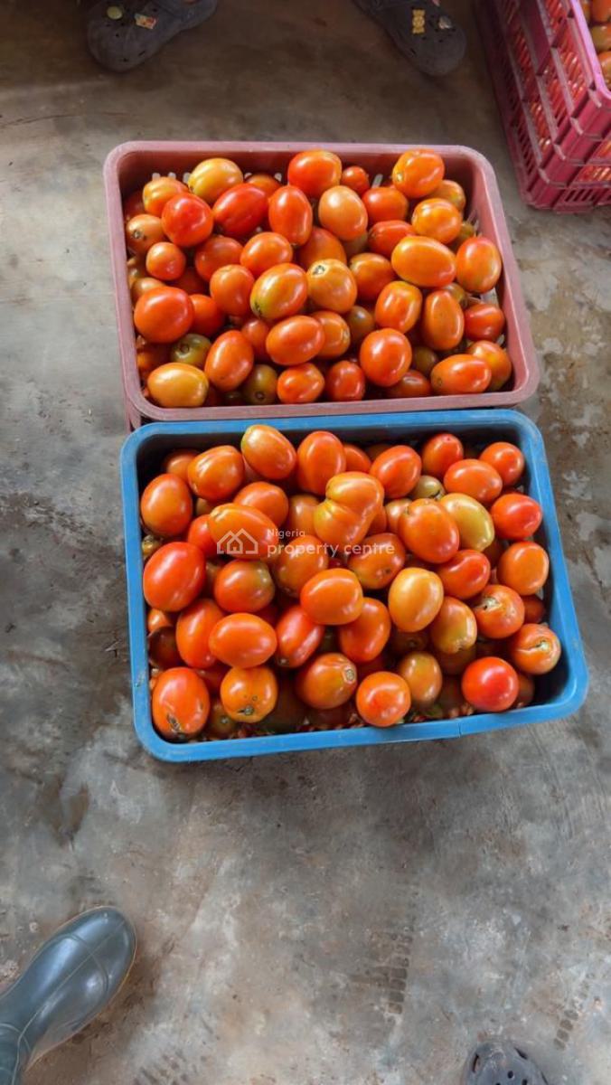 Affordable Farmland, Abeokuta North, Ogun, Land for Sale