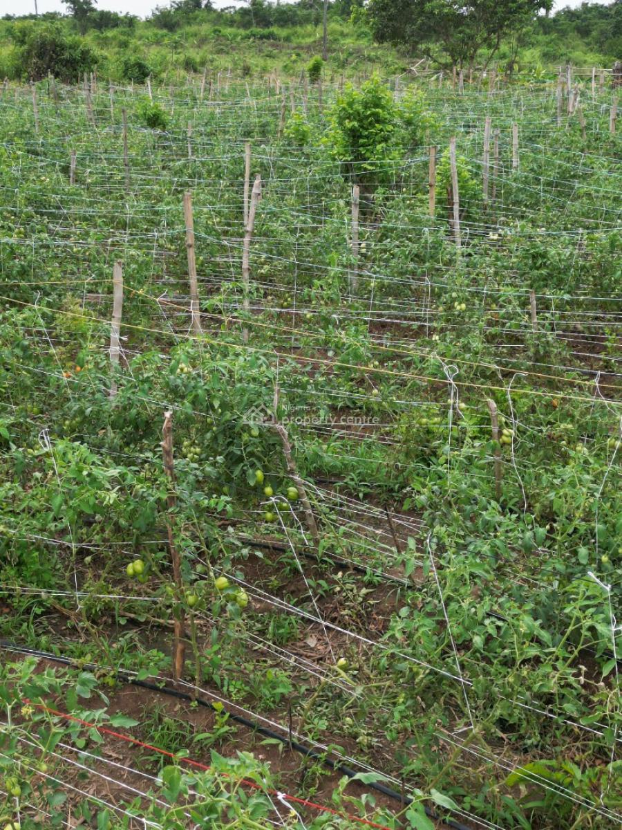 Affordable Farmland, Abeokuta North, Ogun, Land for Sale