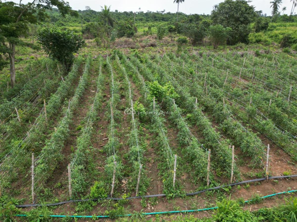 Affordable Farmland, Abeokuta North, Ogun, Land for Sale