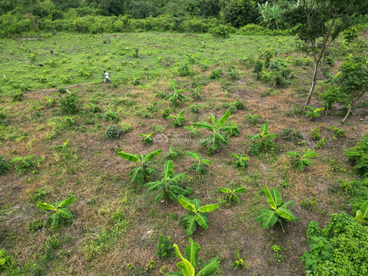 Affordable Farmland, Abeokuta North, Ogun, Land for Sale