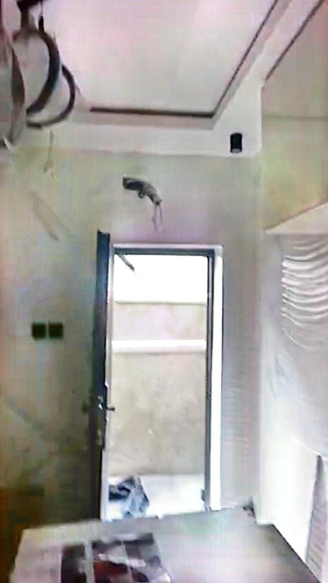 3 Bedroom Semi Detached Duplex, Maplewood, New Oko-oba, Agege, Lagos, House for Sale