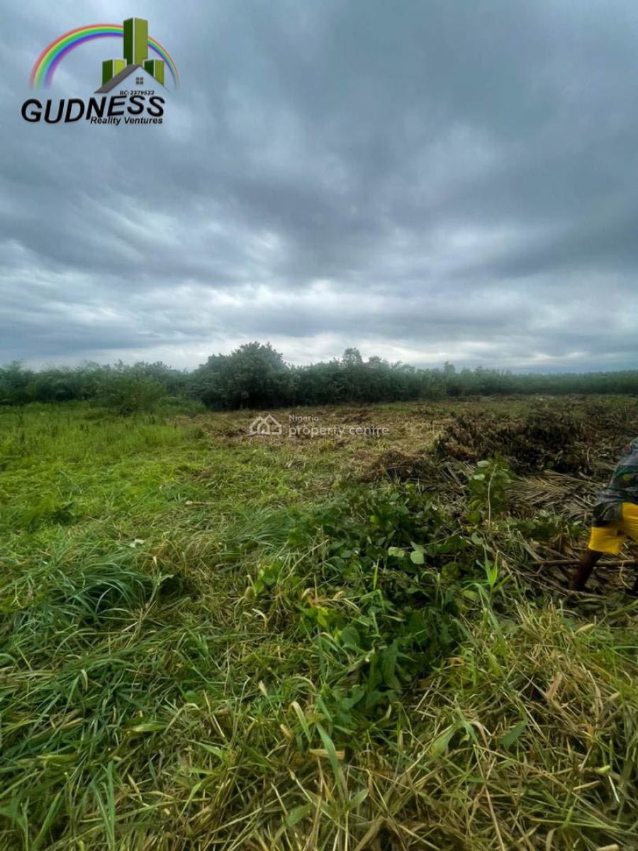 Own Virgin Land in a Fast-growing Area, Abijo, Lekki, Lagos, Commercial Land for Sale