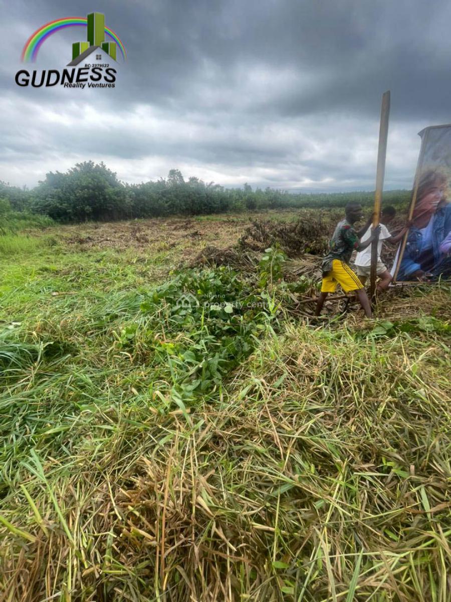 Own Virgin Land in a Fast-growing Area, Abijo, Lekki, Lagos, Commercial Land for Sale