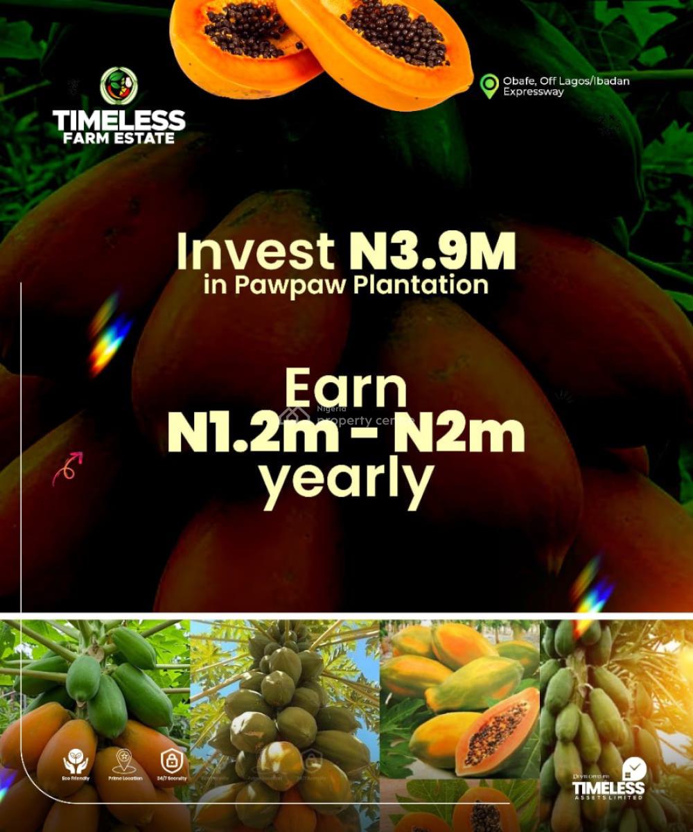 Paw Paw Plantation, Ibadan, Oyo, Land for Sale
