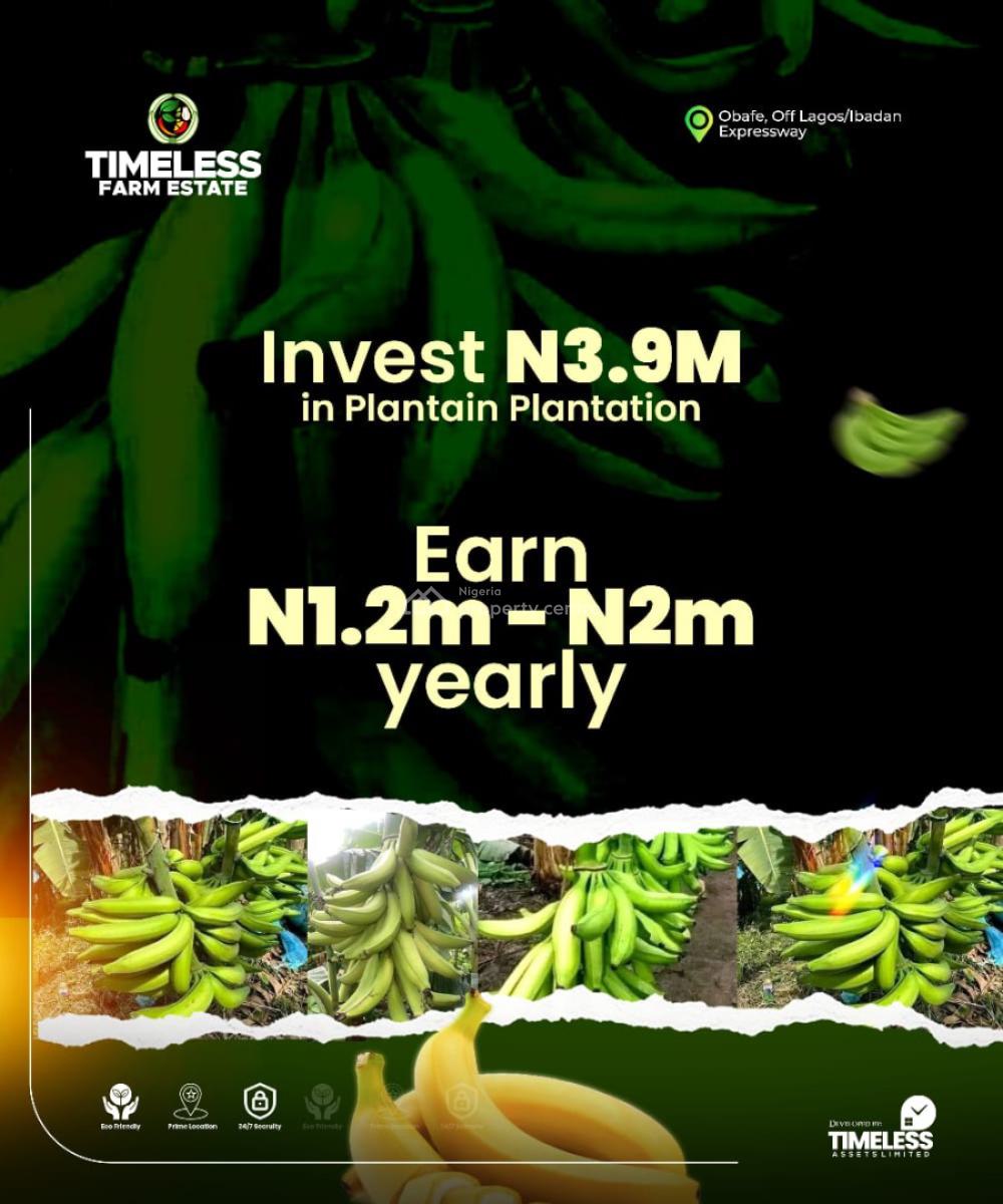 Plantain Plantation, Ibadan, Oyo, Land for Sale