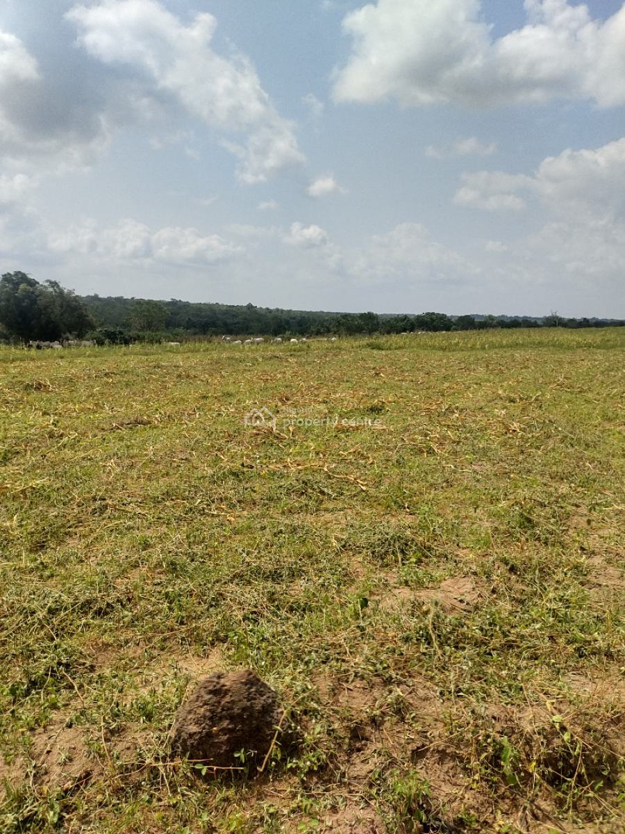 Most Suitable and Affordable Plots for Agriculture, Abeokuta North, Ogun, Land for Sale