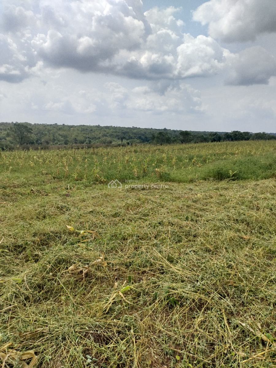 Most Suitable and Affordable Plots for Agriculture, Abeokuta North, Ogun, Land for Sale