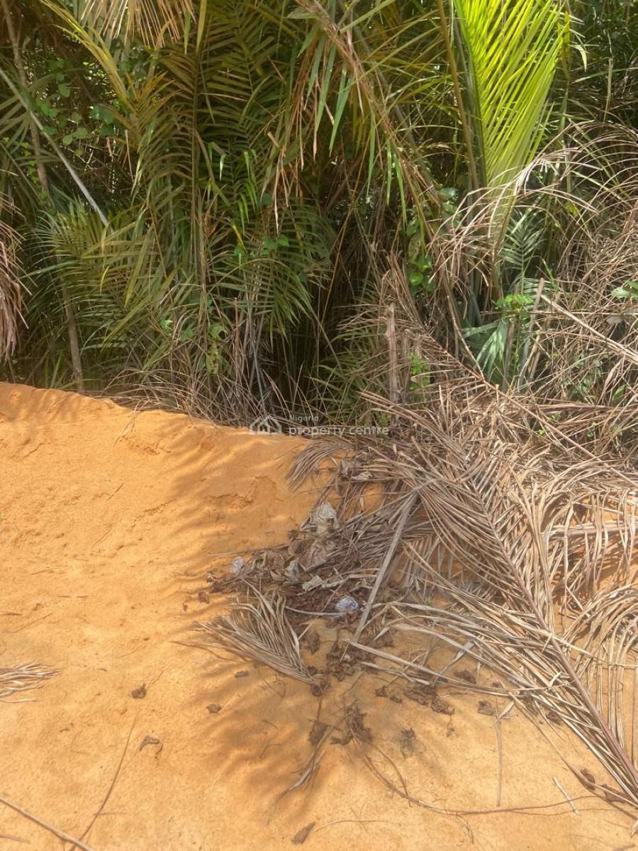 an Acre of Land, Igbonla, Epe, Lagos, Mixed-use Land for Sale