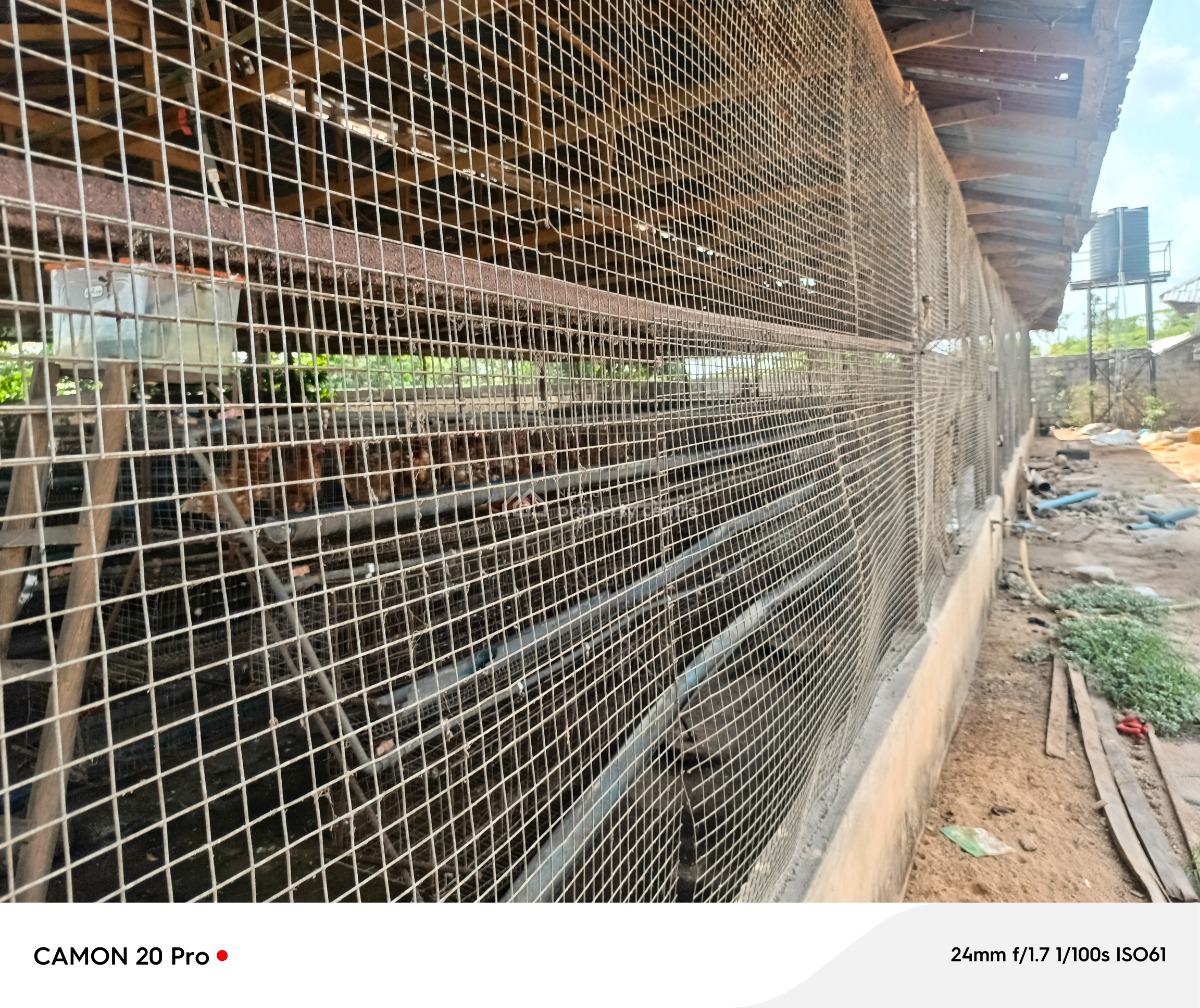 Corner Piece 2 Plots of Land Fenced and Gated, Avu Amakabo Close to Umuguma Worldbank, Owerri Municipal, Imo, Mixed-use Land for Sale