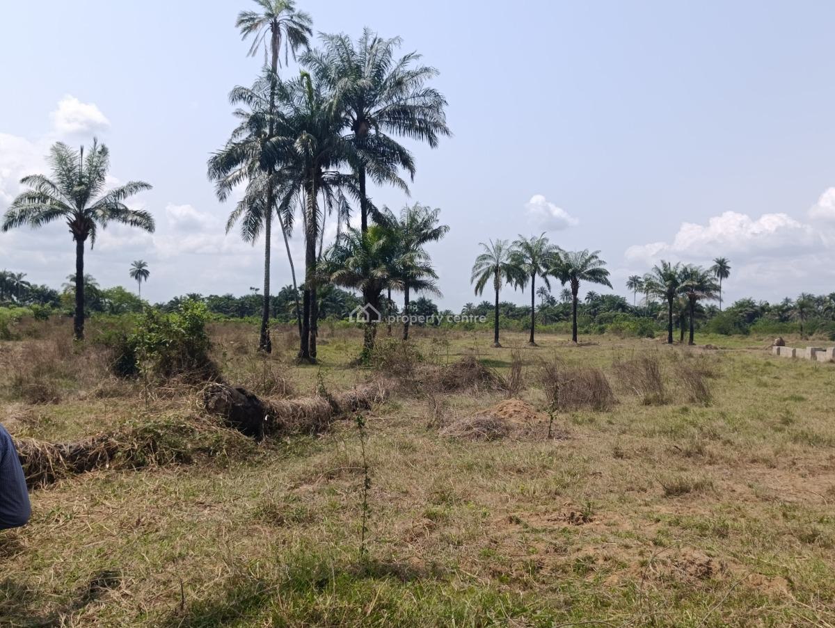 Ebeonadi Luxury City Estate, Second Niger Bridge, Asaba, Delta, Mixed-use Land for Sale