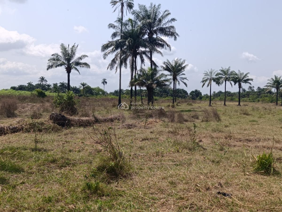 Ebeonadi Luxury City Estate, Second Niger Bridge, Asaba, Delta, Mixed-use Land for Sale