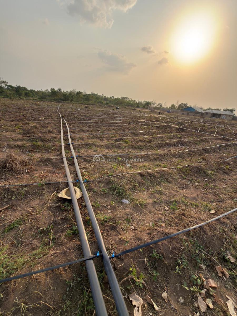 Paradiso Farm, Profitable Farm Land with Guaranteed Revenue, Farmland Investment with 4 Month Revenue Cycle, Abeokuta North, Ogun, Commercial Land for Sale