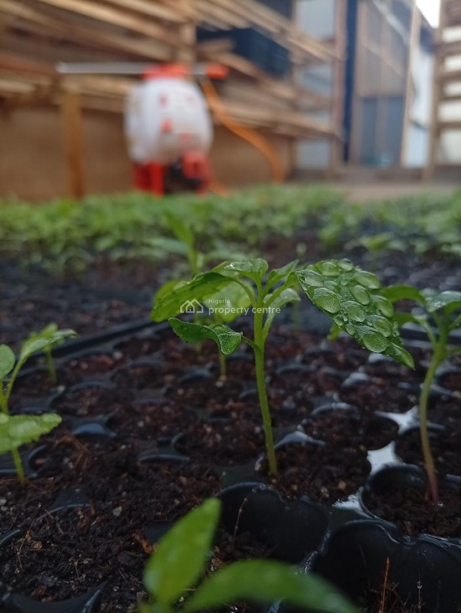 Profitable Farm Land with Guaranteed Revenue, Paradiso Farm, Abeokuta North, Ogun, Commercial Land for Sale