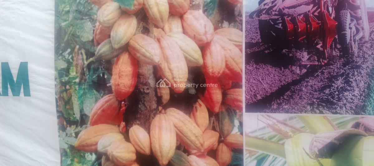 Timeless Farm Estate, Obafemi Owode, Ogun, Commercial Land for Sale