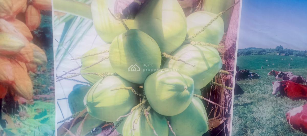 Timeless Farm Estate, Obafemi Owode, Ogun, Commercial Land for Sale