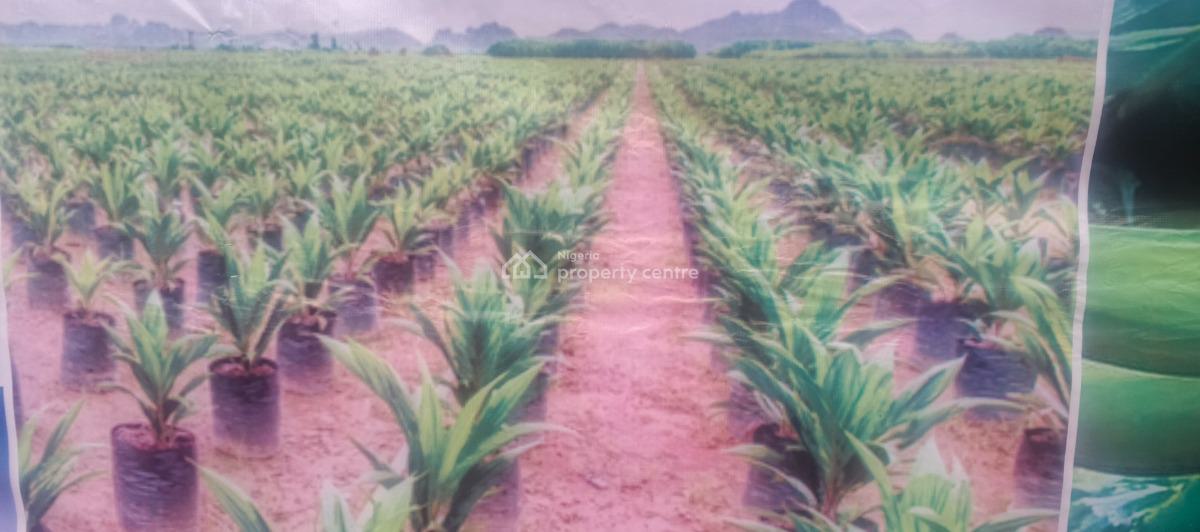 Timeless Farm Estate, Obafemi Owode, Ogun, Commercial Land for Sale