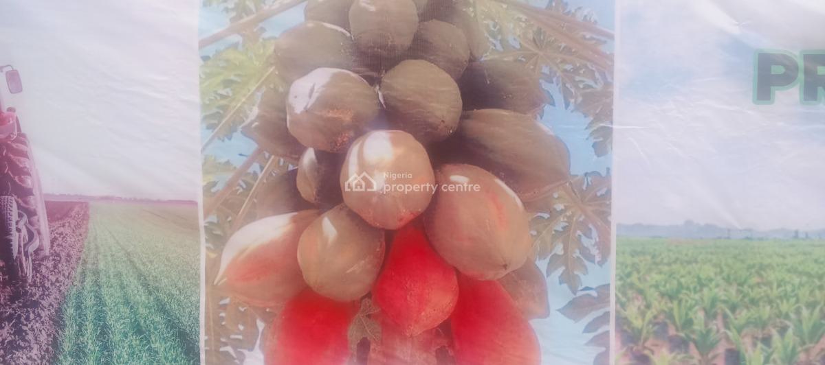 Timeless Farm Estate, Obafemi Owode, Ogun, Commercial Land for Sale