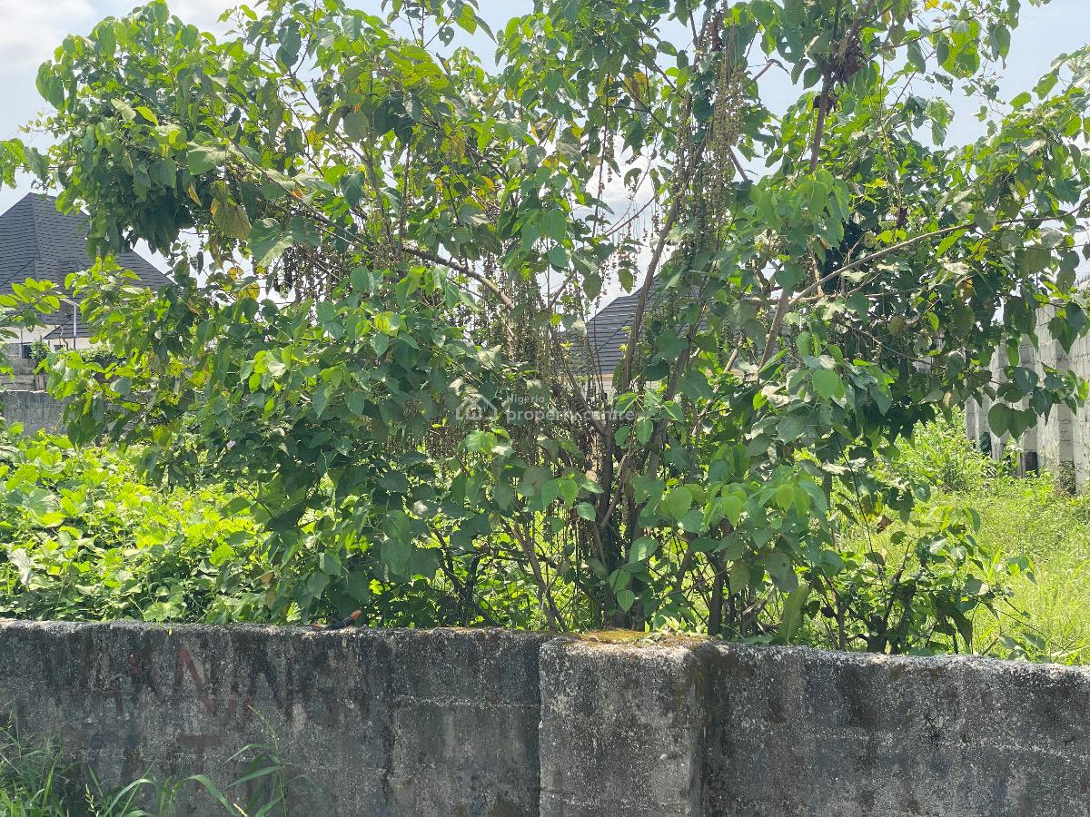 Well Located Table  Dry Plot  of Land in an Estate, Ceedarwoods Estate, Sars Road, Rukpokwu, Port Harcourt, Rivers, Residential Land for Sale