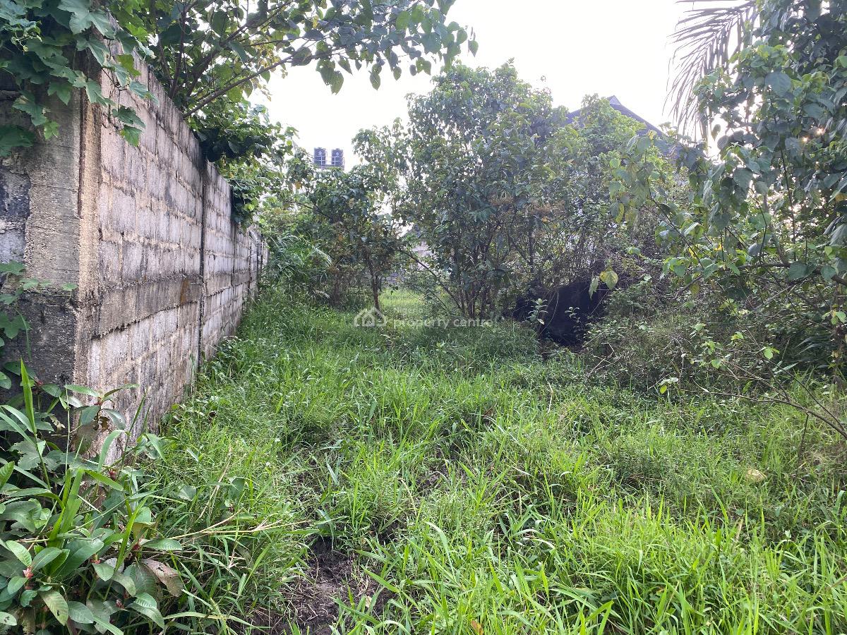 Well Located Plot of Land in a Residential Estate, Ceedarwoods Estate, Rukpokwu, Port Harcourt, Rivers, Residential Land for Sale