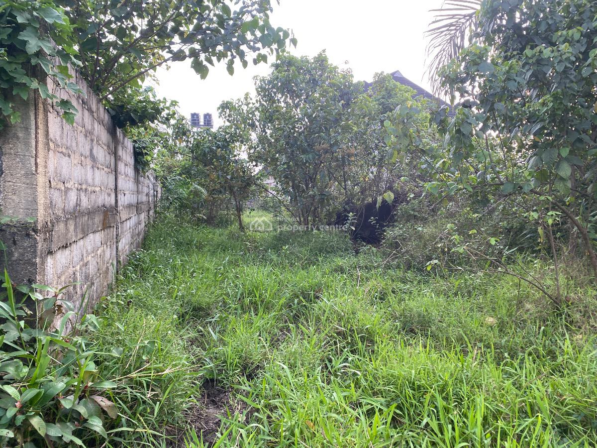 Well Located Plot of Land in a Residential Estate, Ceedarwoods Estate, Rukpokwu, Port Harcourt, Rivers, Residential Land for Sale