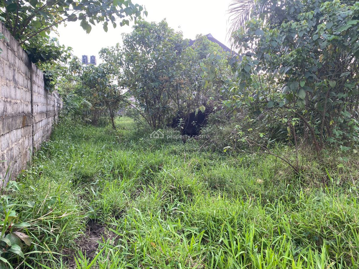 Well Located Plot of Land in a Residential Estate, Ceedarwoods Estate, Rukpokwu, Port Harcourt, Rivers, Residential Land for Sale