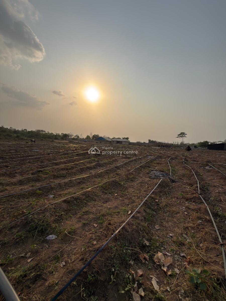 Farmland Investment in a Fertile Community, Odeda, Ogun, Mixed-use Land for Sale