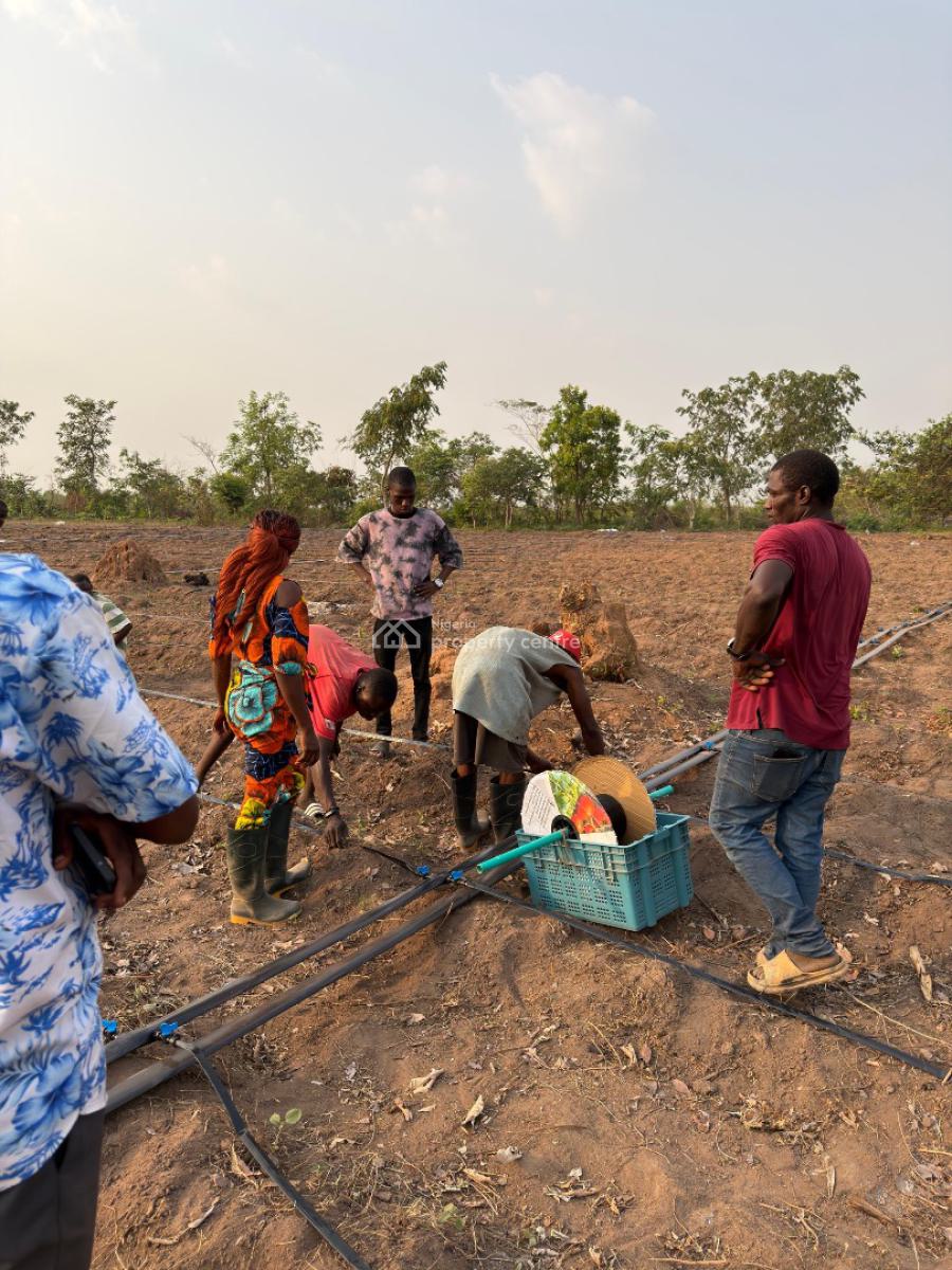 Farmland Investment in a Fertile Community, Odeda, Ogun, Mixed-use Land for Sale