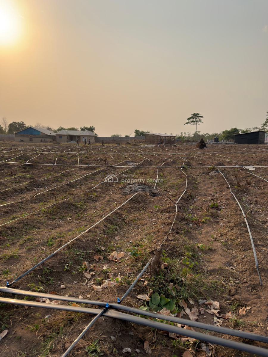 Farmland Investment in a Fertile Community, Odeda, Ogun, Mixed-use Land for Sale