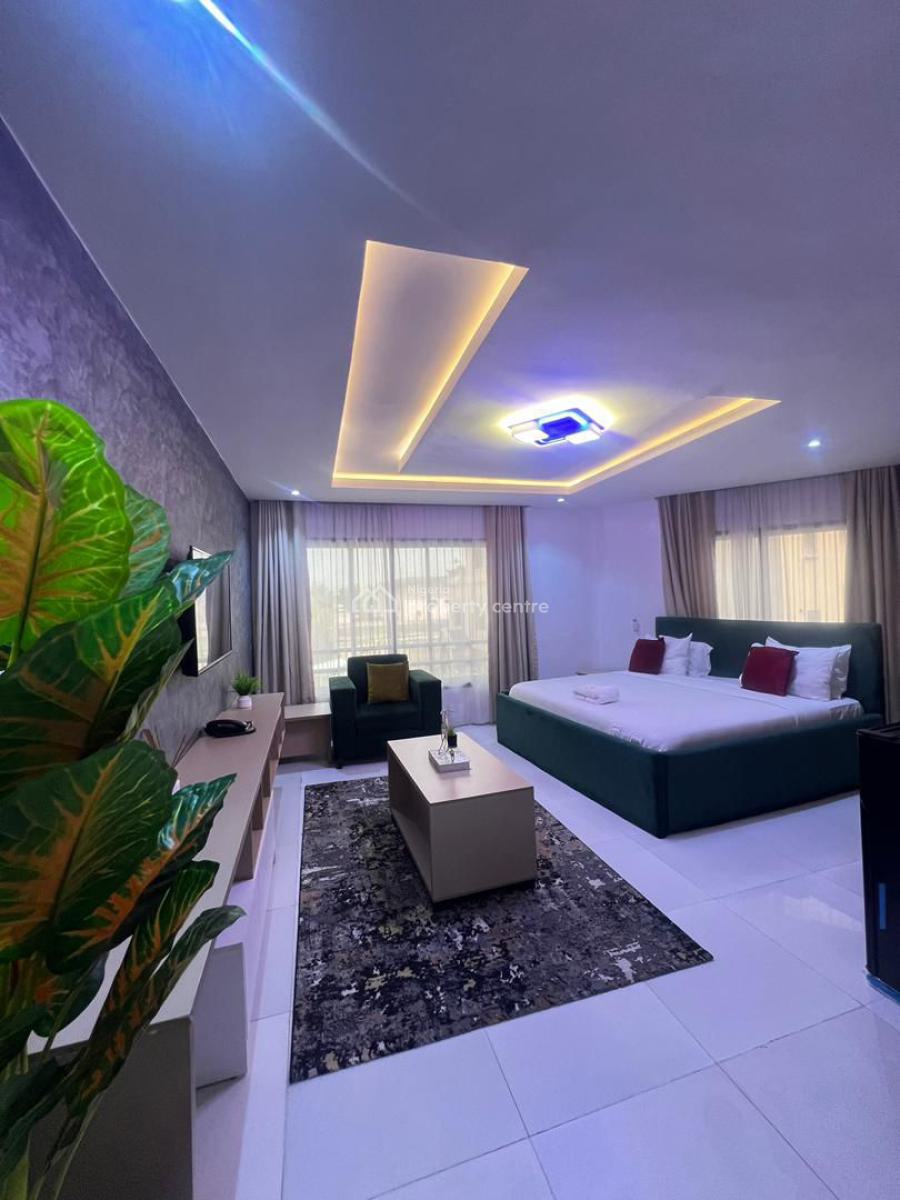 Tastefully Furnished Studio Apartment with 24/7 Light, Lounge & Pool, Lekki Phase 1, Lekki, Lagos, Flat / Apartment for Rent