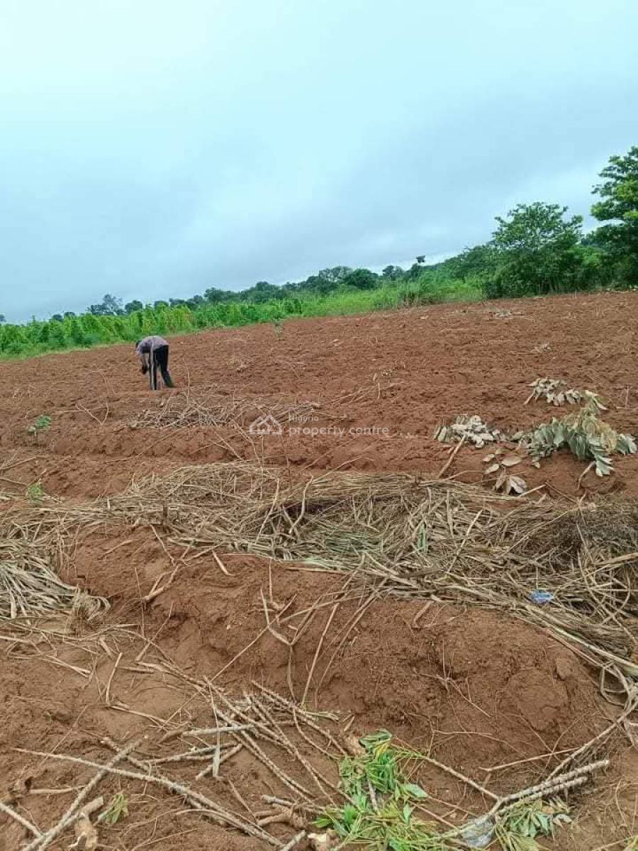 Fertile Farmlands, Ikanna Olopa, Shapade, Obafemi Owode, Ogun, Mixed-use Land for Sale