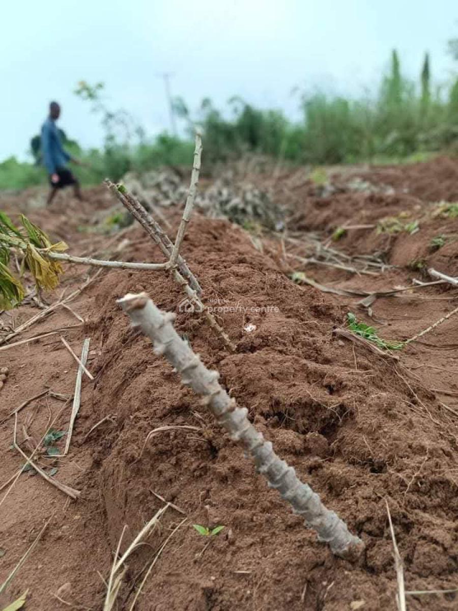 Fertile Farmlands, Ikanna Olopa, Shapade, Obafemi Owode, Ogun, Mixed-use Land for Sale