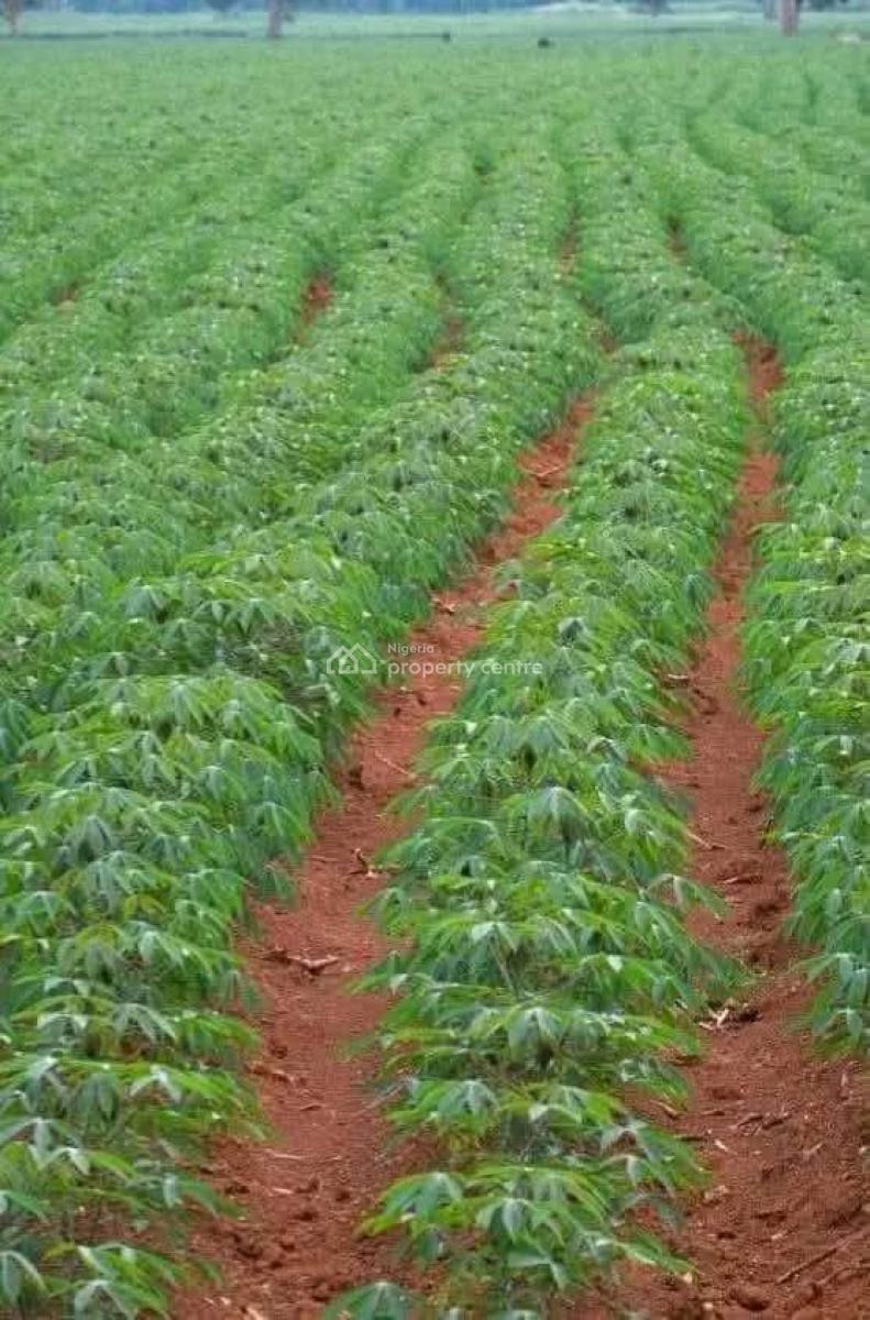 Fertile Farmlands, Ikanna Olopa, Shapade, Obafemi Owode, Ogun, Mixed-use Land for Sale