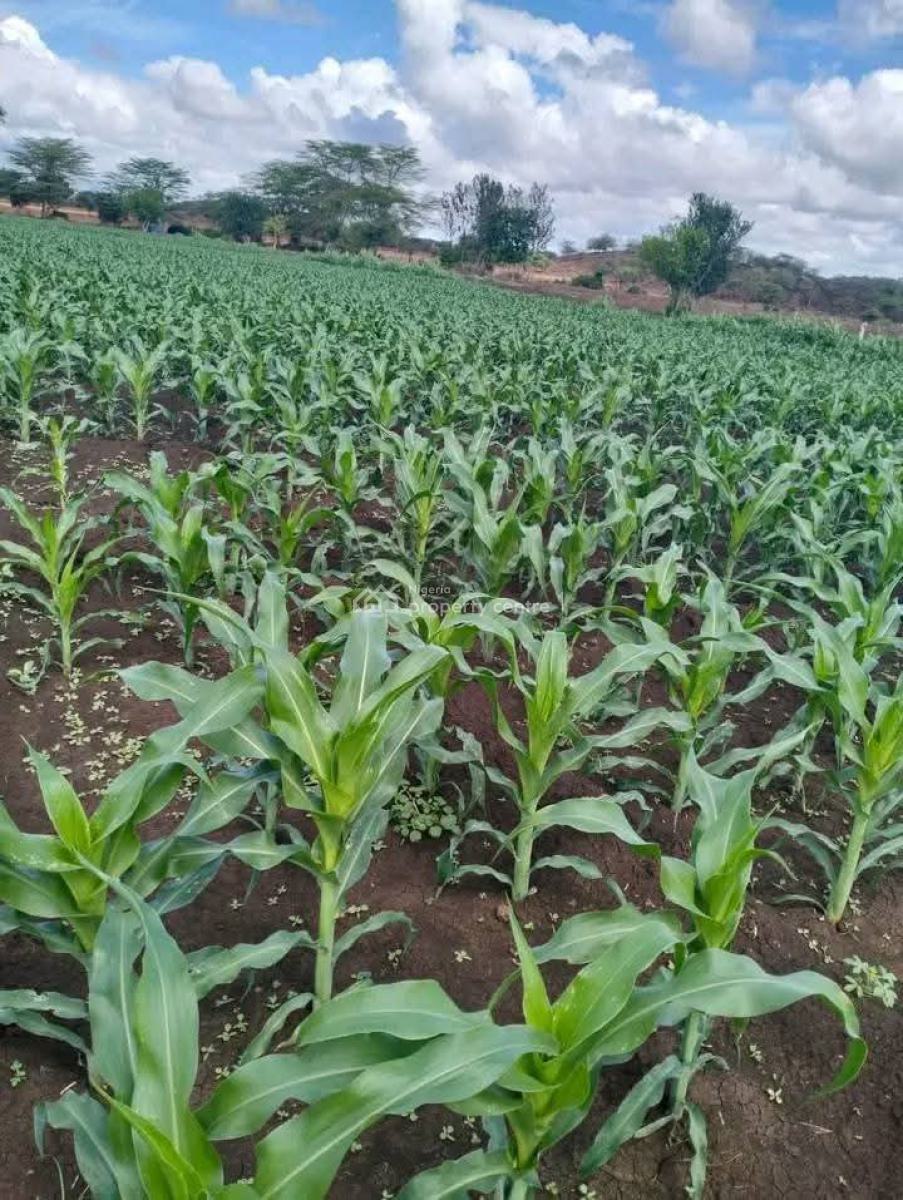 Fertile Farmlands, Ikanna Olopa, Shapade, Obafemi Owode, Ogun, Mixed-use Land for Sale