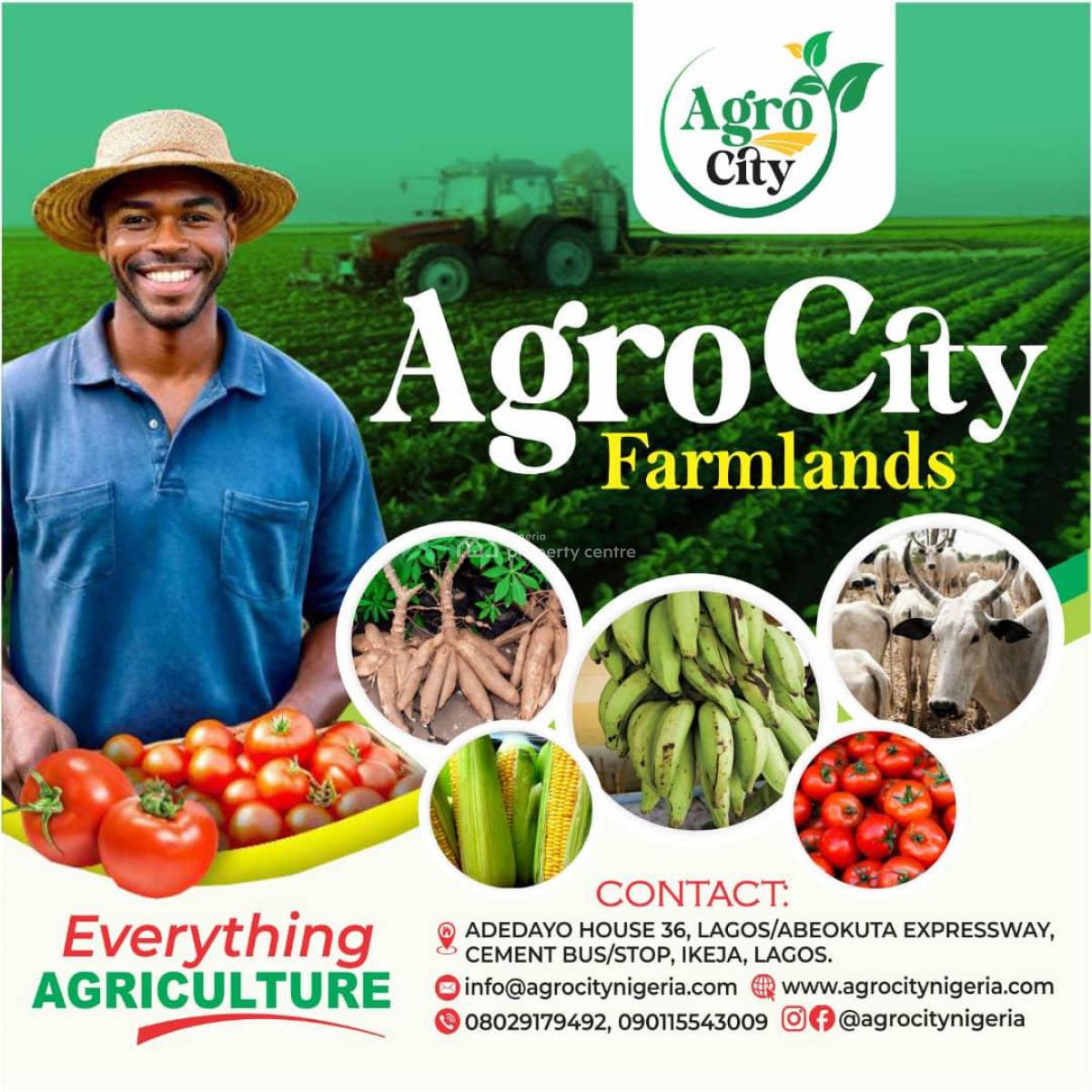 Fertile Farmlands, Ikanna Olopa, Shapade, Obafemi Owode, Ogun, Mixed-use Land for Sale