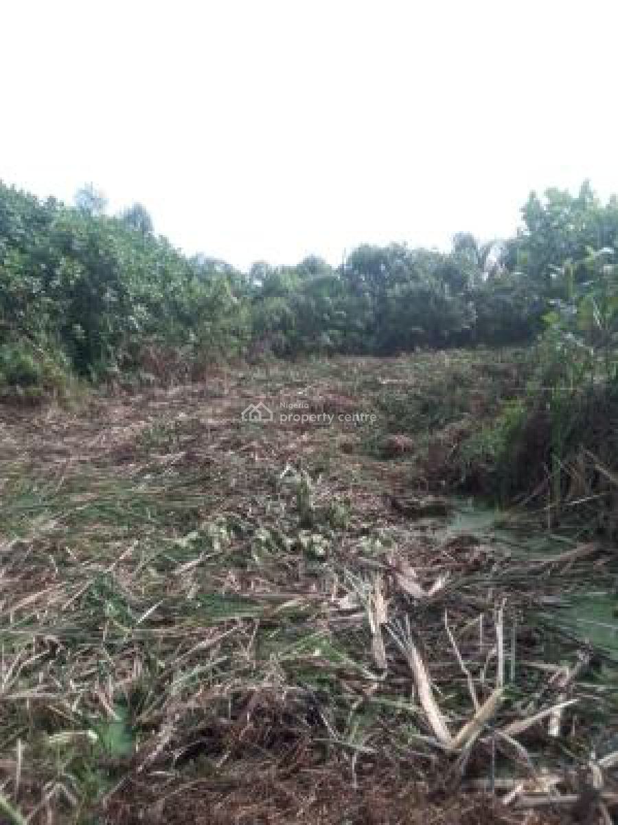 Distress Quarter Plot of Land Measured 193.176 Square Meters, Igboja Shapatti, Shapati, Ibeju Lekki, Lagos, Mixed-use Land for Sale
