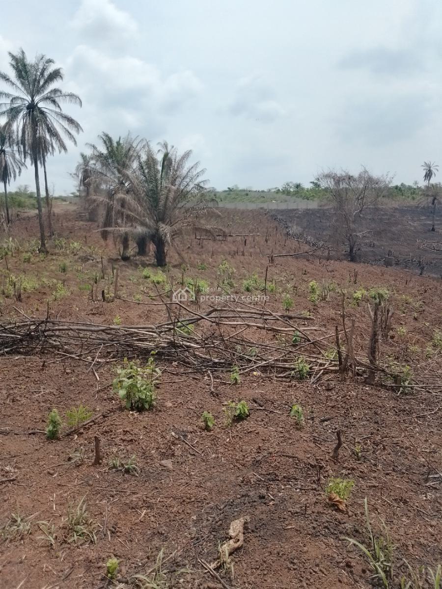 Plots of Land at Odunbaku Siun, Siun, Owode, Obafemi Owode, Ogun, Residential Land for Sale