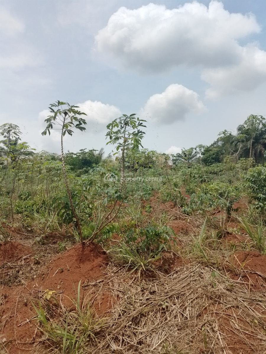 Plots of Land at Ashipa Siun, Ashipa Siun, Obafemi Owode, Ogun, Residential Land for Sale