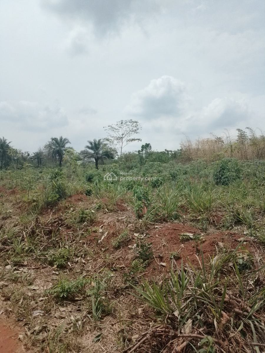 Plots of Land at Ashipa Siun, Ashipa Siun, Obafemi Owode, Ogun, Residential Land for Sale