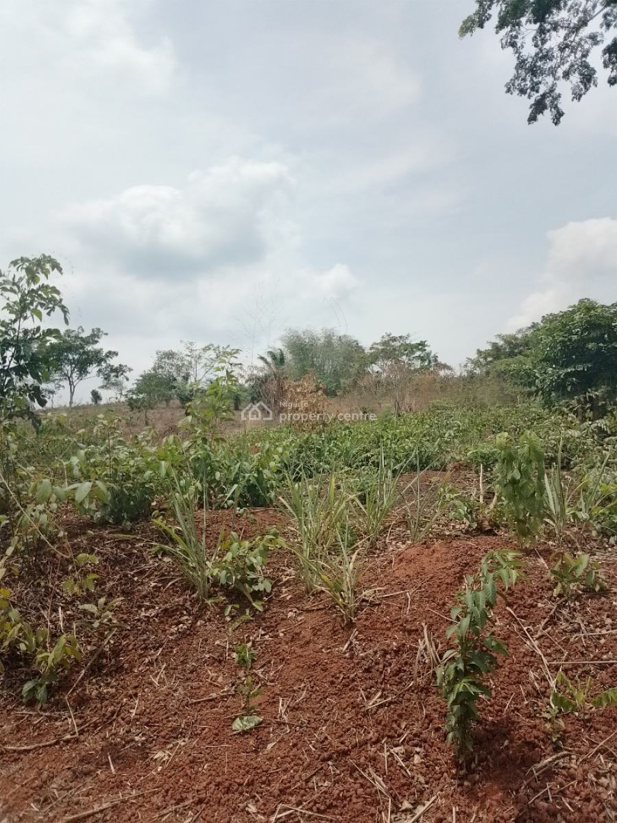 Land for Farming Or Investment, Agoro Siun, Obafemi Owode, Ogun, Land for Sale
