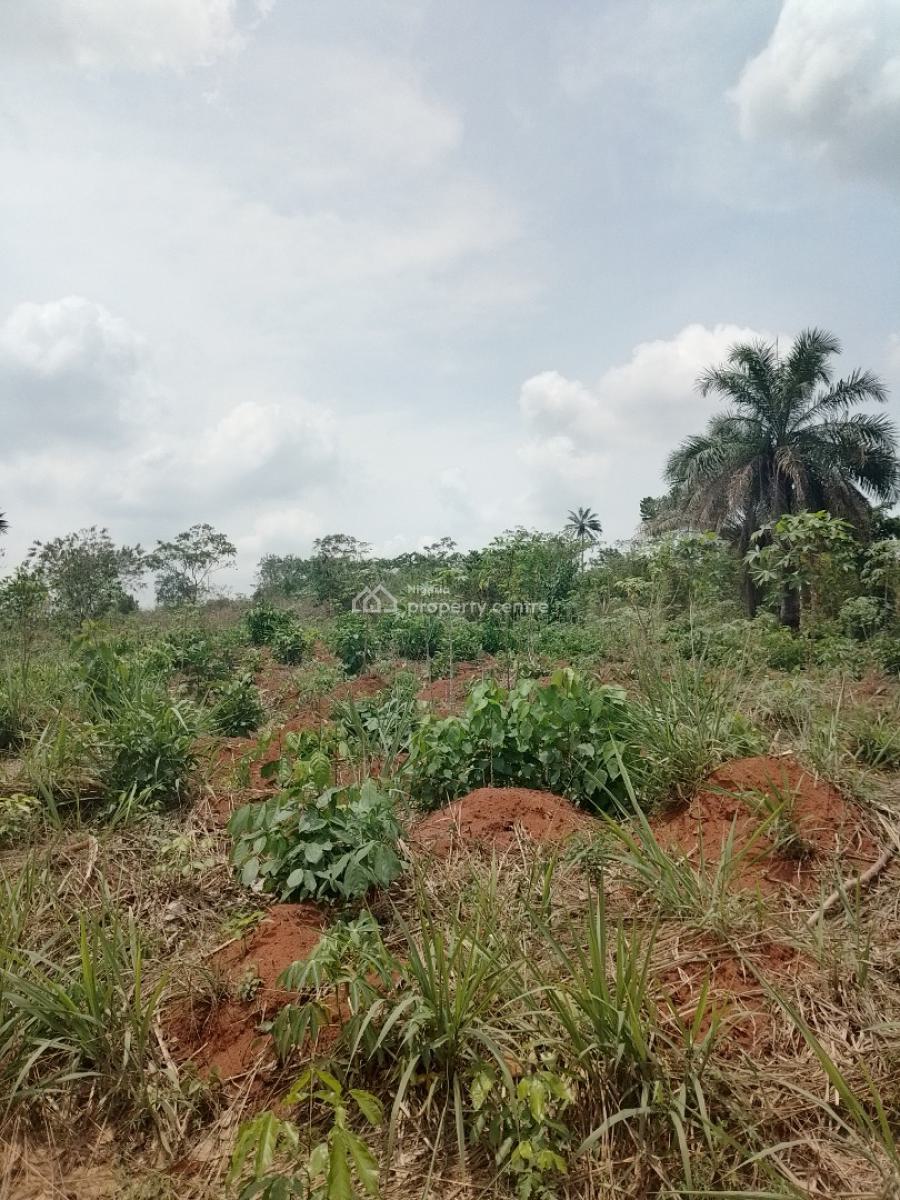 Land for Farming Or Investment, Agoro Siun, Obafemi Owode, Ogun, Land for Sale