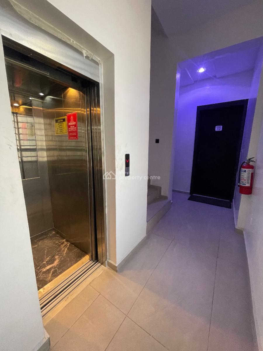 Nicely Furnished 2 Bedroom, Ikate Lekki, Lekki Phase 1, Lekki, Lagos, Flat / Apartment for Rent