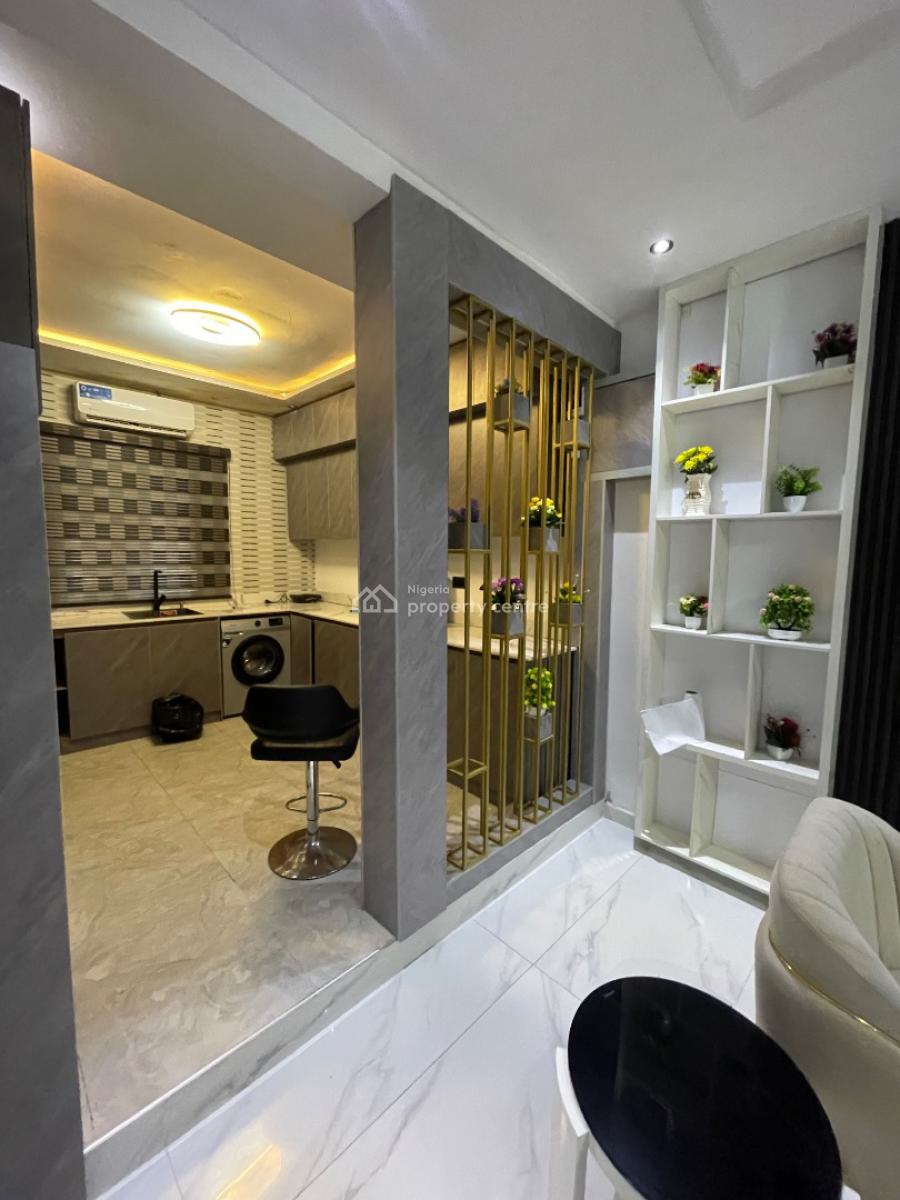 Nicely Furnished 2 Bedroom, Ikate Lekki, Lekki Phase 1, Lekki, Lagos, Flat / Apartment for Rent