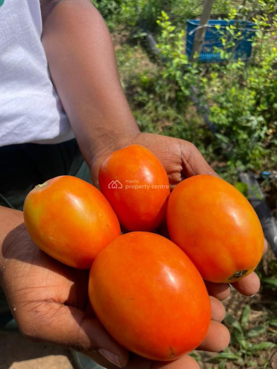 Farm Land, Paradiso Farms, Abeokuta North, Ogun, Mixed-use Land for Sale